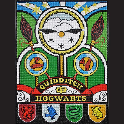 Harry potter Quidditch Harry Potter Multicolor